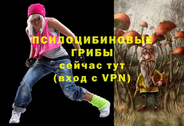 тгк Алексеевка