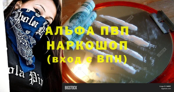стаф Алексин