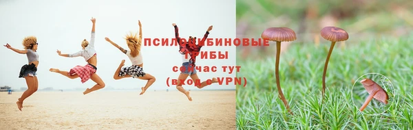 марки nbome Алзамай