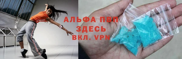 стаф Алексин
