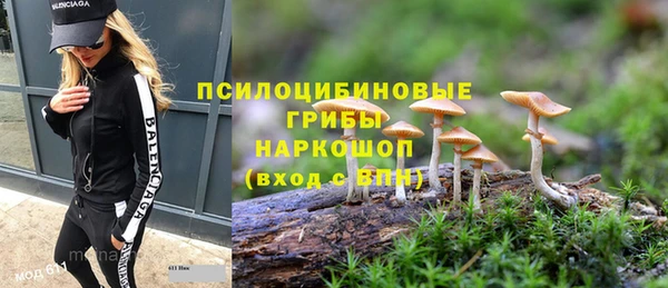 стаф Алексин