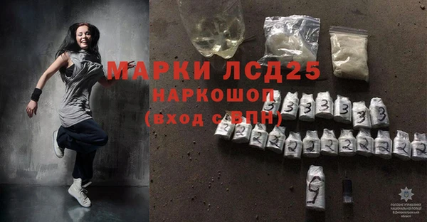 стаф Алексин