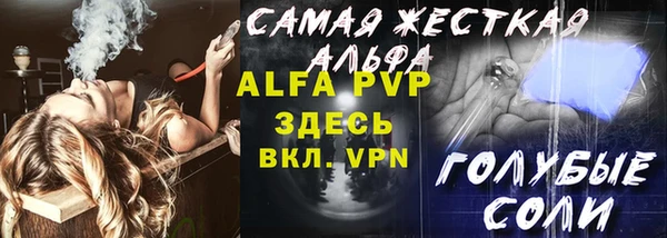 стаф Алексин