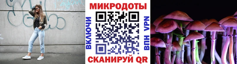 как найти закладки  Кемь  Галлюциногенные грибы Magic Shrooms 